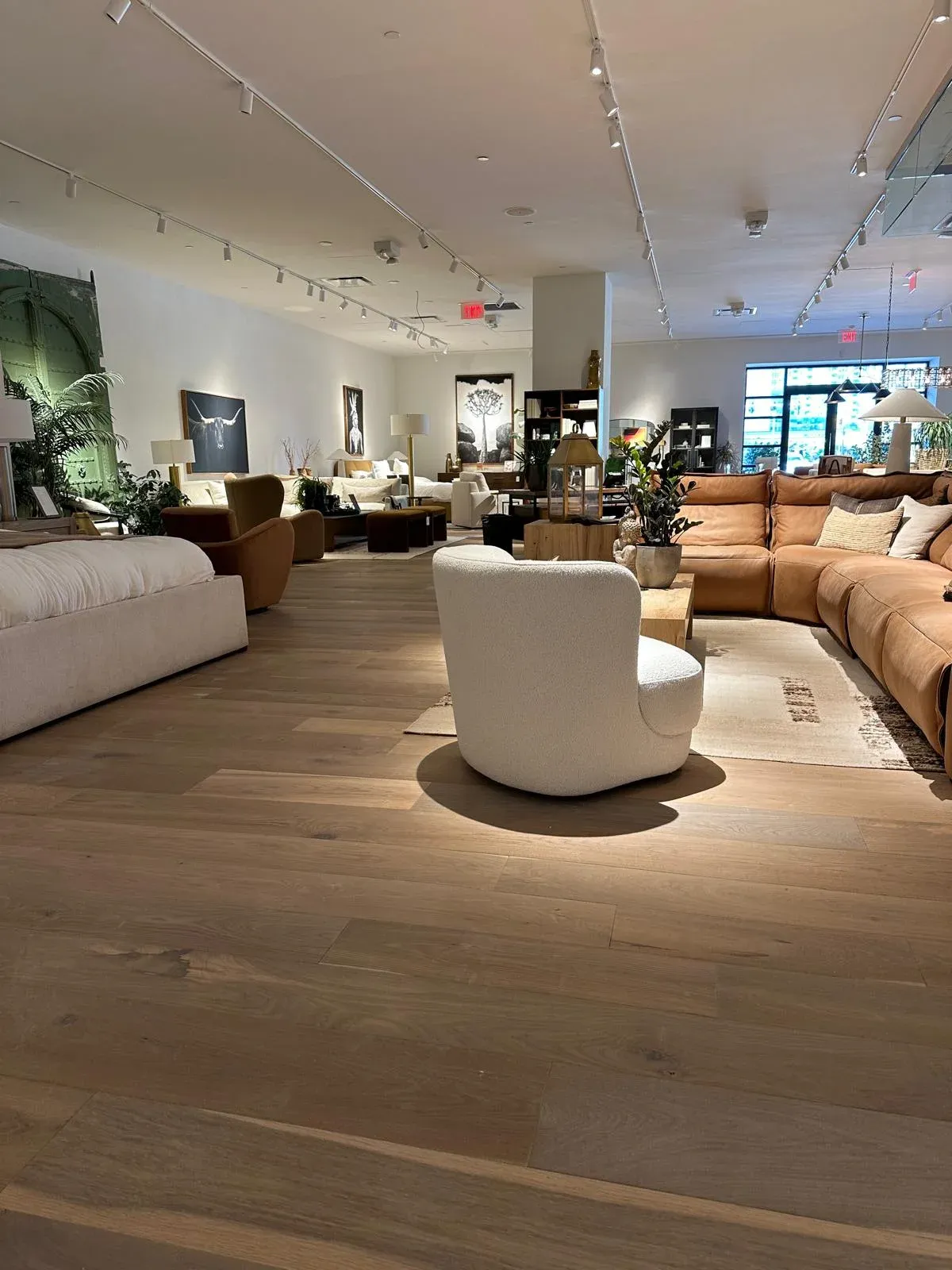 Wide plank across a furnished floor